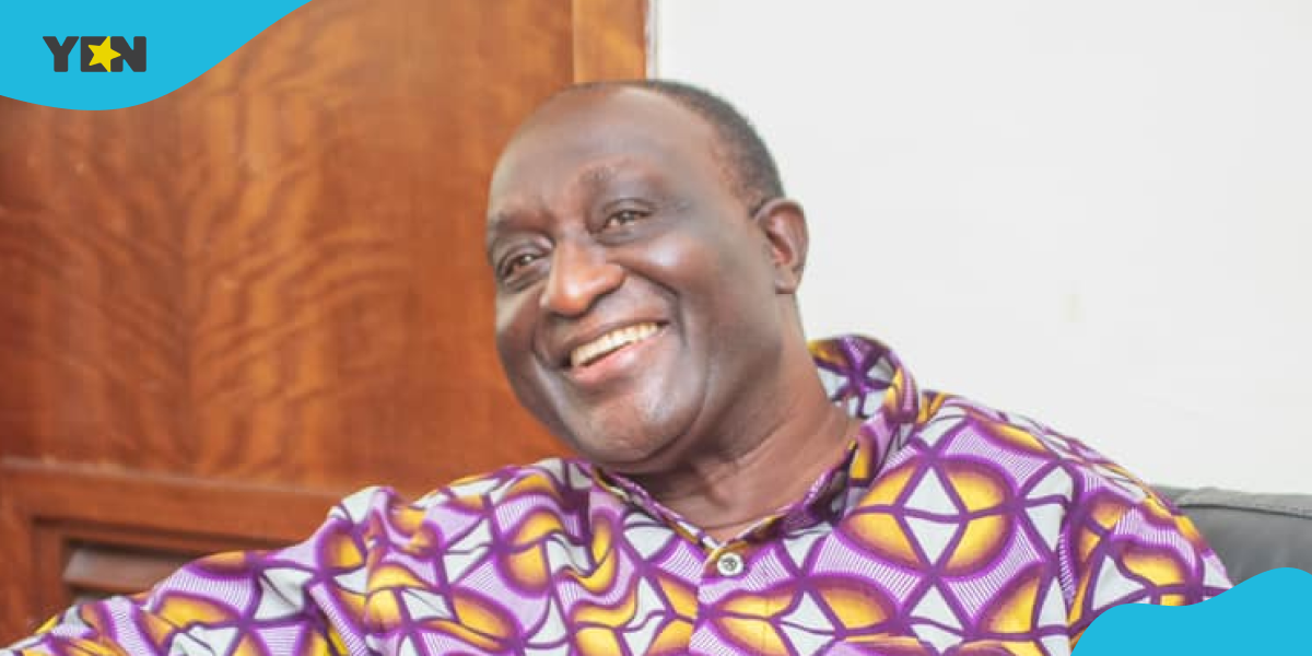 Alan Kyerematen says he could have prevented Ghana from going to the IMF.