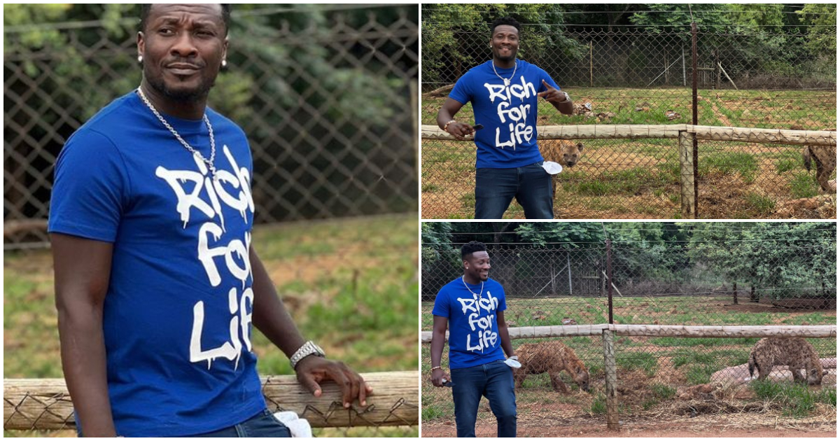 Asamoah Gyan poses with hyenas