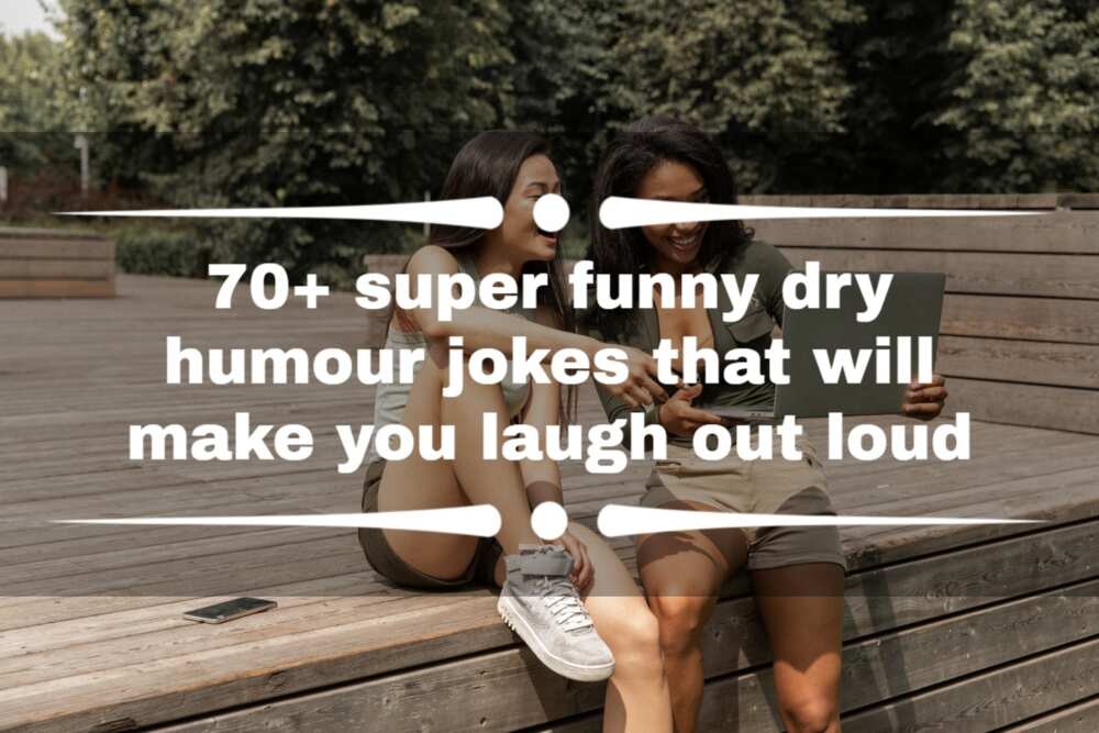 dry humour jokes