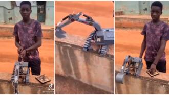 GH prodigy builds excavator, wows adults around him in video: “The boy has done it”