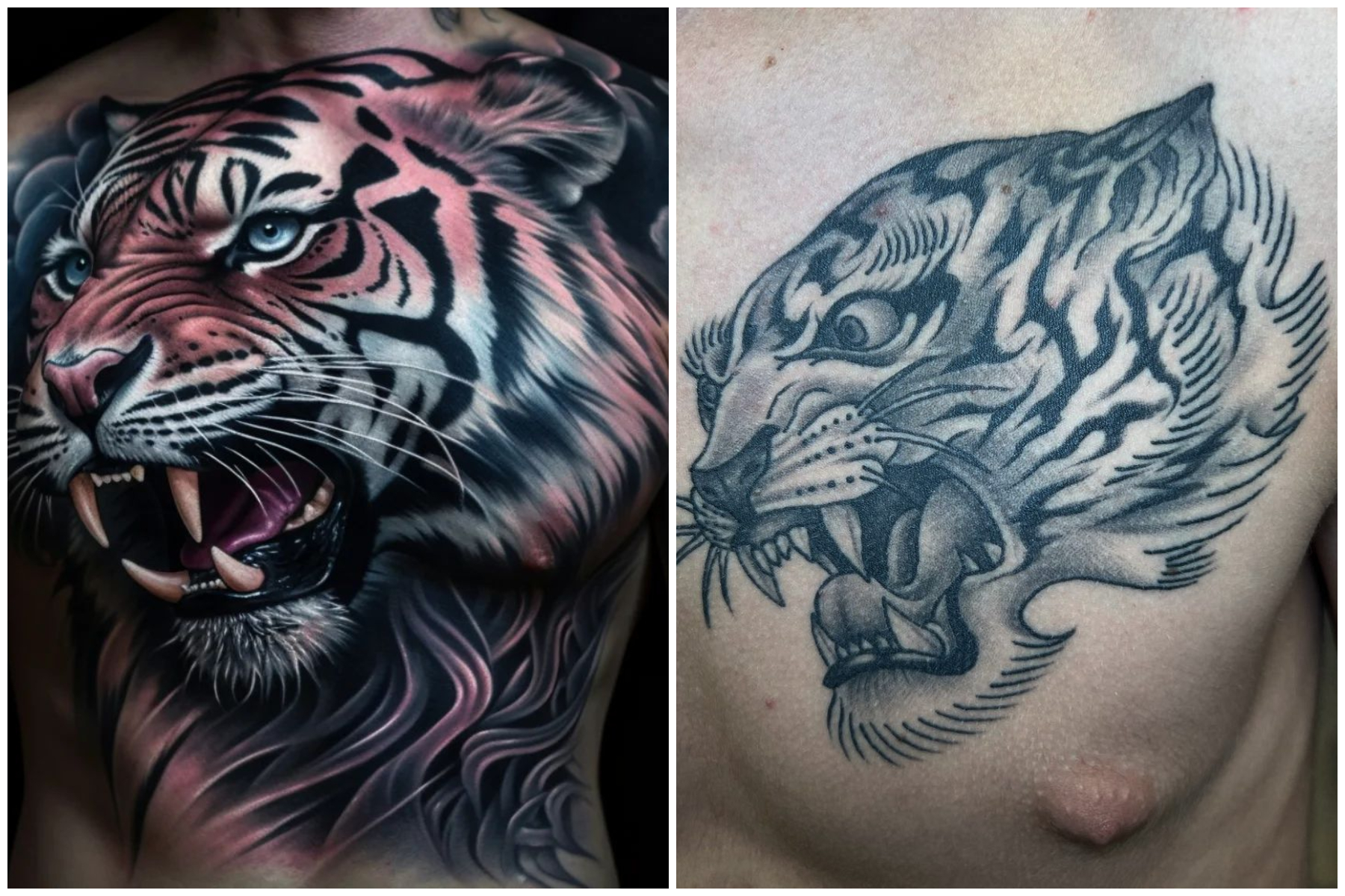 Daddy Jacks Body Art Studio  Tattoos  Animal  Bear Cover up