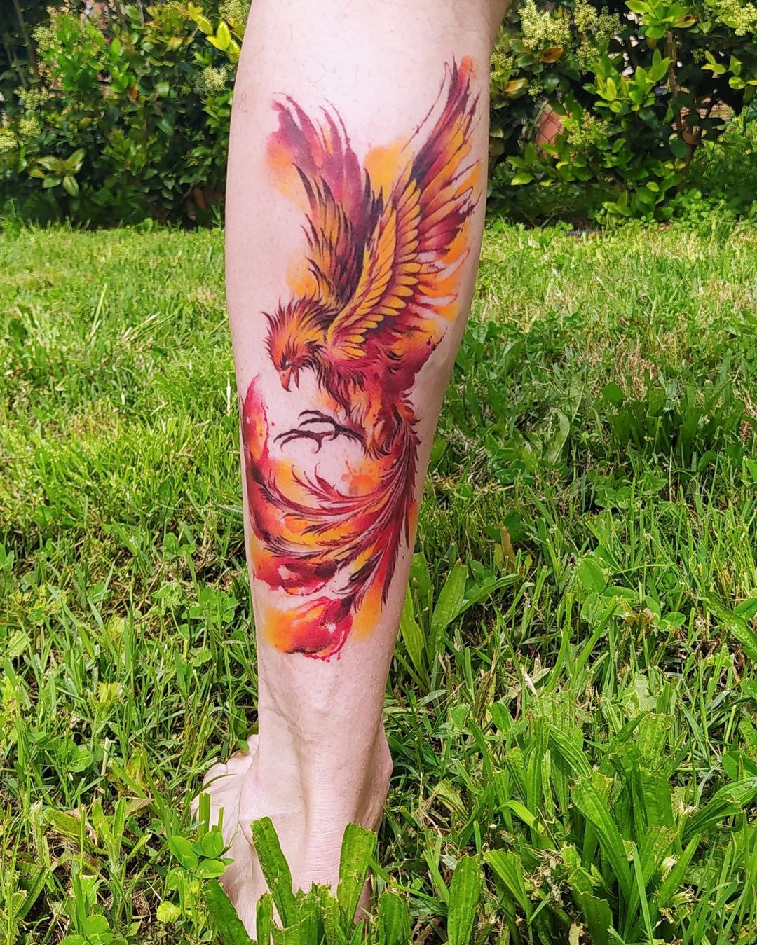 Rainbow Phoenix Fire Bird Men's T-shirt Back Print - Monsterry