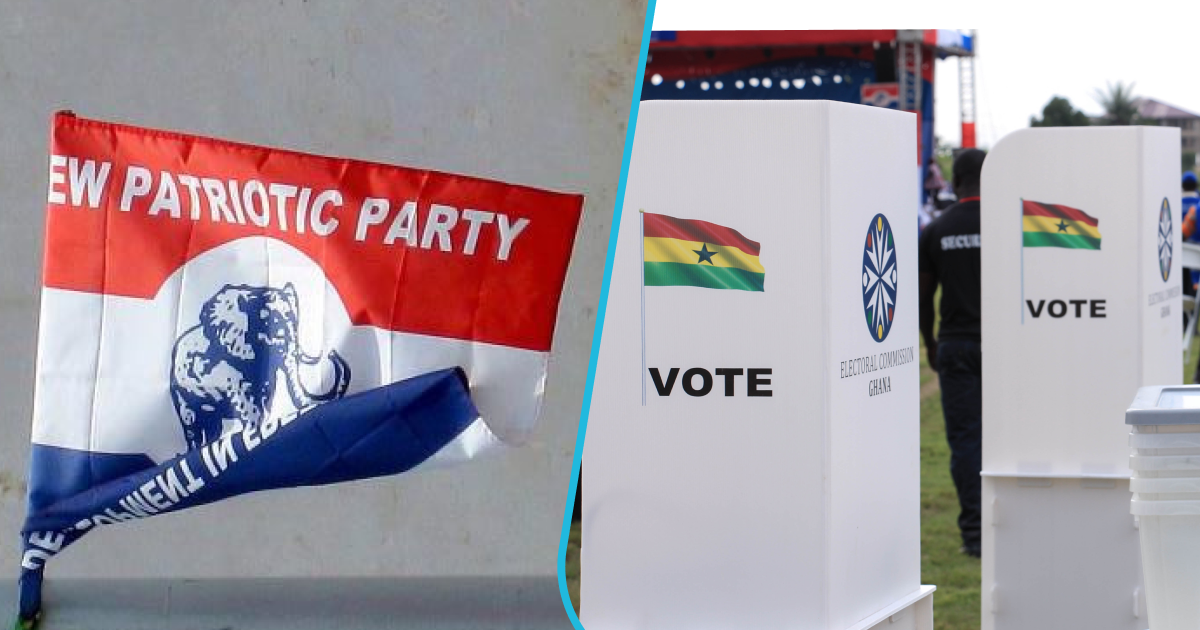 NPP votes in La Dade-Kotopon parliamentary primary.