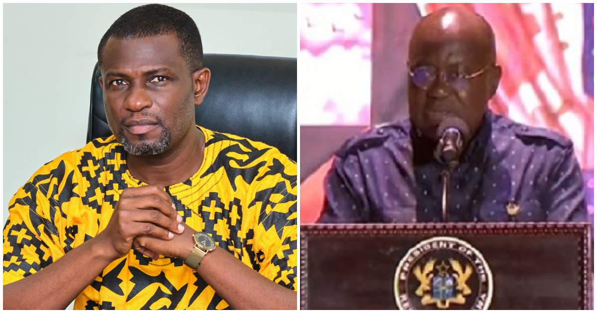Global Citizen Festival: Tourism Ministry clarifies Akufo-Addo booing incident; Deputy Minister says he was rather cheered