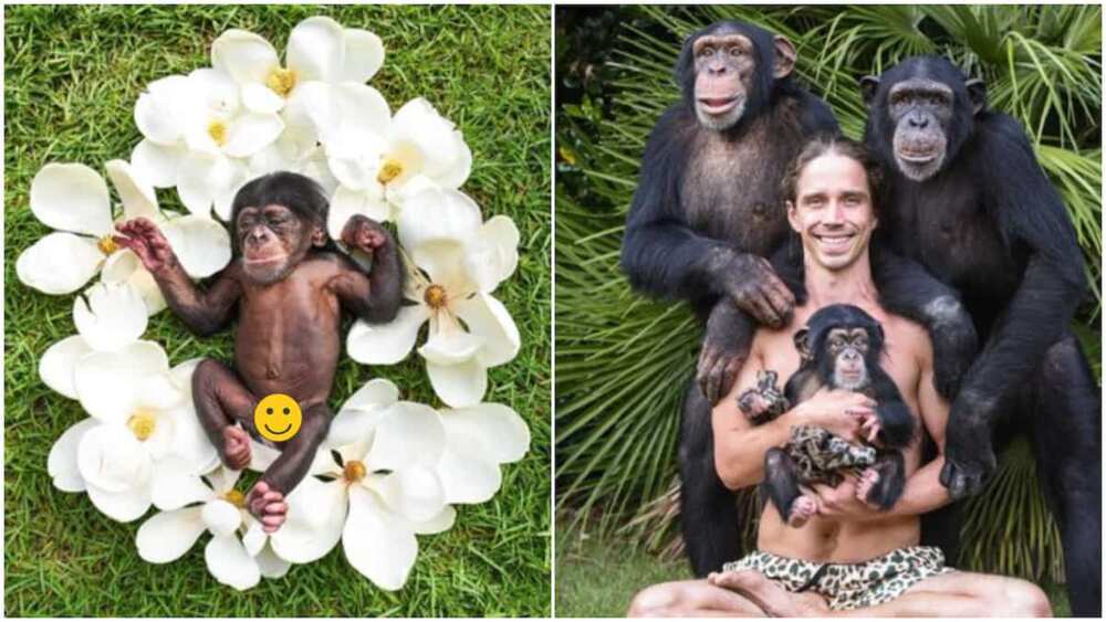 Man gives newborn monkey photoshoot as if it's human baby, photos causes frenzy online