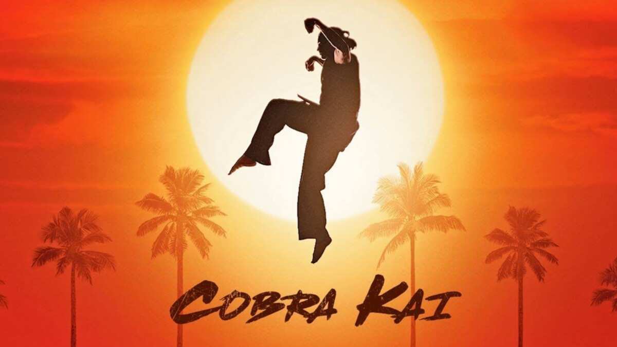  Cobra Kai - Season 01 / Cobra Kai - Season 02 - Set : Macchio,  Ralph, Zabka, William, Henggeler, Courtney, Mariduena, Xolo, Buchanan,  Tanner, Mouser, Mary, Bertrand, Jacob, Brown, Nichole, Decenzo