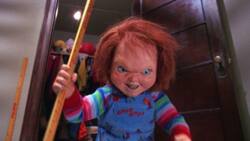 Chucky movies in order: How to binge-watch the movies chronologically