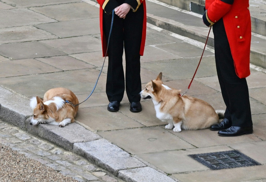 Queen Elizabeth's corgis, Muick and Sandy were at Windsor Castle, where the British monarch was laid to rest
