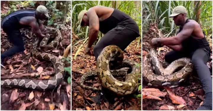 Mike Holston: Former US football player battles massive python in terrifying video; many question his style