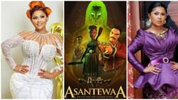 Nana Ama McBrown: Ghanaians Rain Praises On Actress For Voicing Main Character in 3D Animation Movie Asantewaa