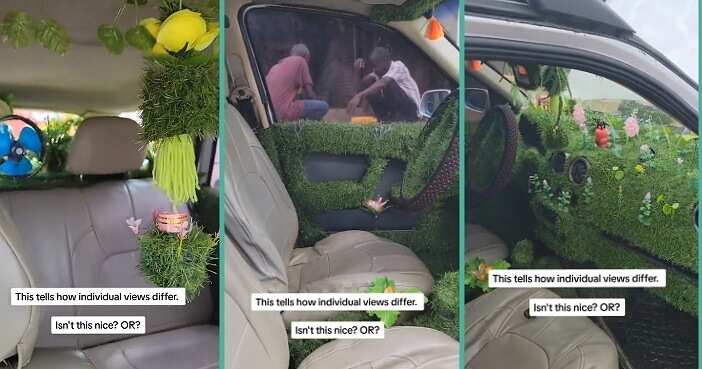Man uses grass to decorate his car
Photo credit: @yabaleftonline/Instagram.