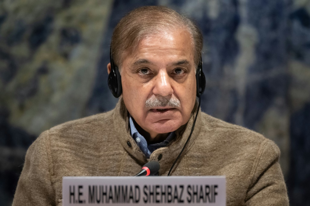 Pakistan's Prime Minister Shehbaz Sharif said Friday that the government would have to agree to IMF bailout conditions that are "beyond imagination"