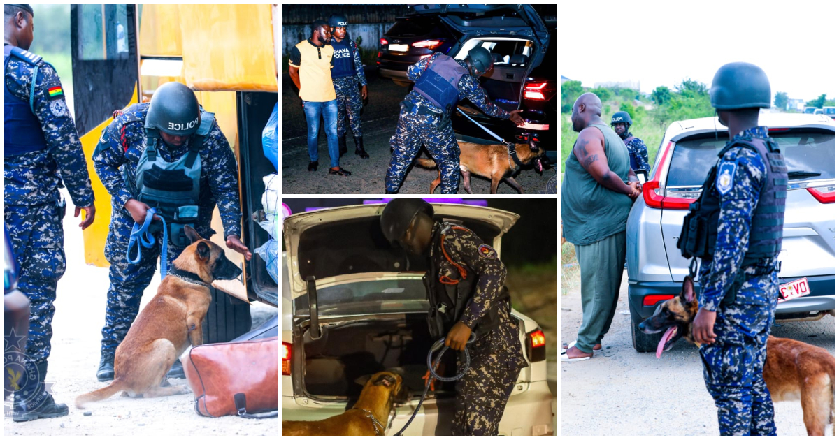 Ghana Police Service has deployed K9 dogs as it steps up security ahead of the New Year season