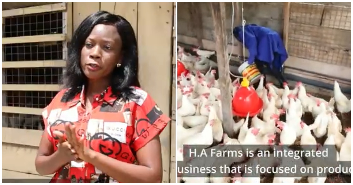 Photo of Hannah Aidoo and her poultry farm