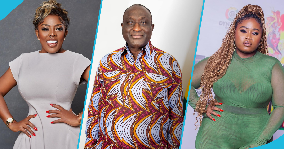 Lydia Forson, Nana Aba Anamoah and other Ghanaian celebs react as Alan Kyeremanten opts out of NPP flagbearer race