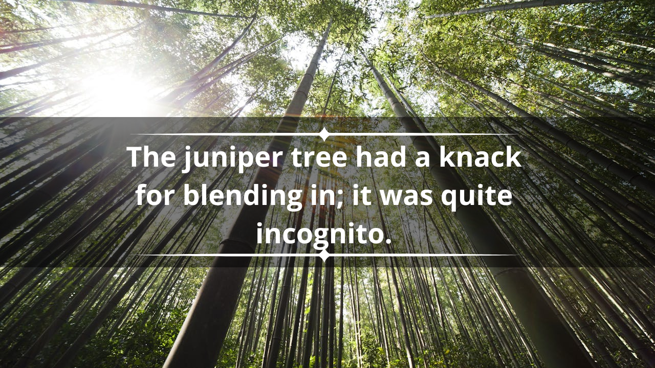 Tree puns one-liners