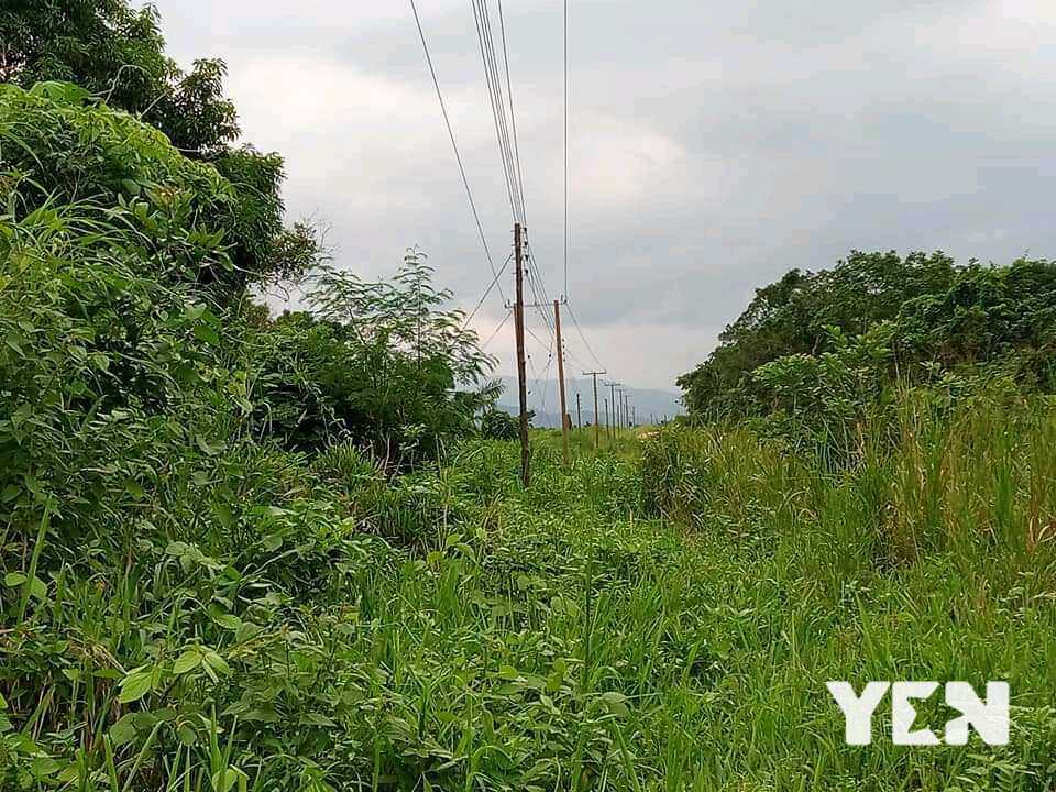 Volta Region: Ziavi village folks jubilate over connection of villages to national grid