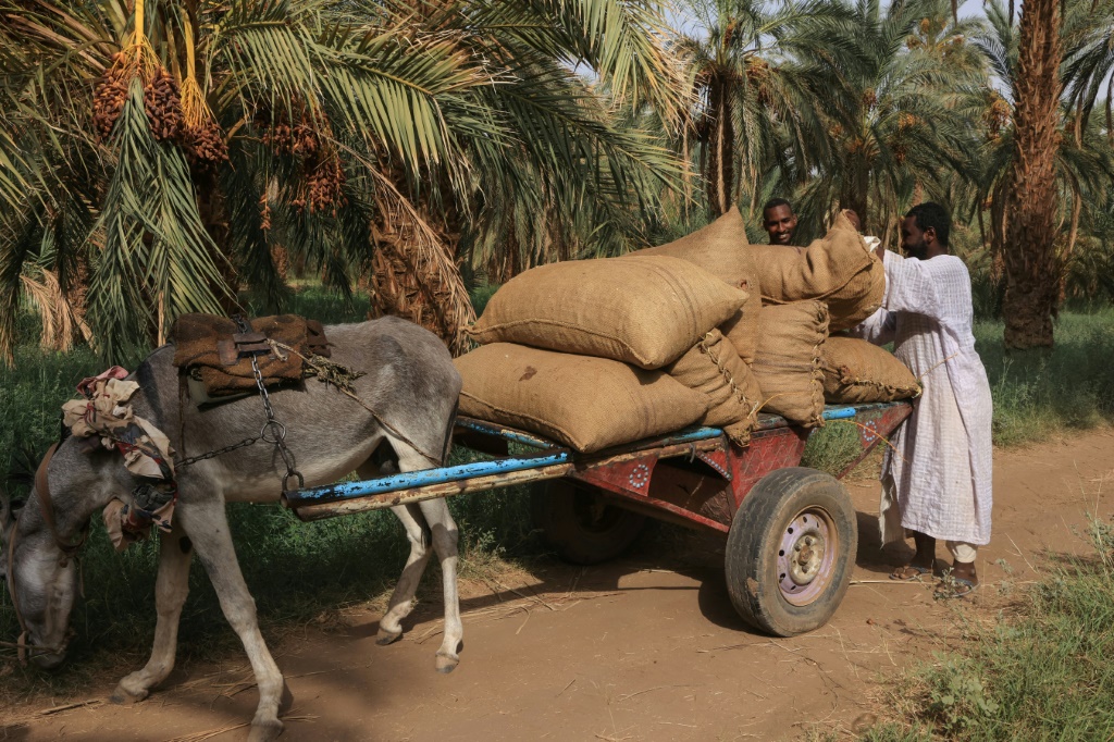 Farmers are among those fleeing Sudan's deadly war and struggling economy