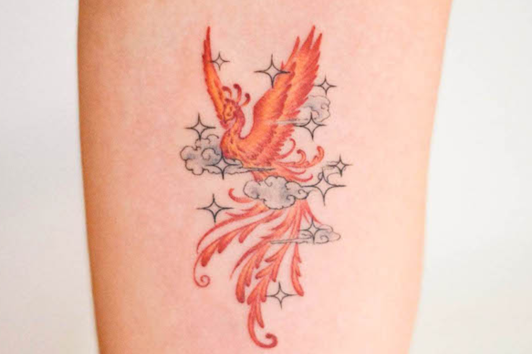 rising tattoo phoenix - Clip Art Library
