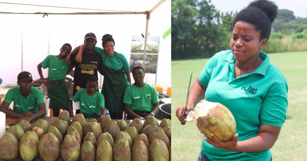 University of graduates establishes coconut business at age 20