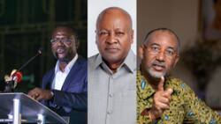 Richest man in Ghana: 27 Ghanaians with the highest net worth in 2024