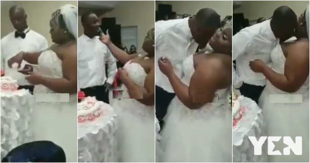 Plus size bride puts cake between her breasts for groom to lick at their wedding (video)