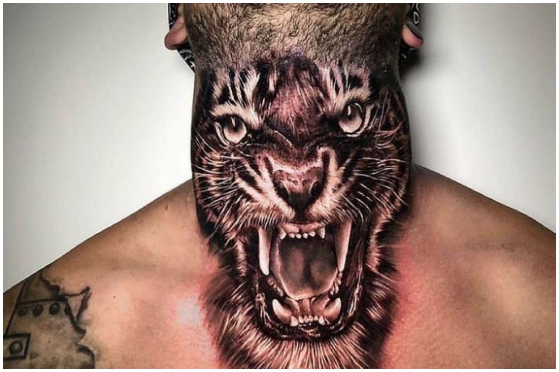 Abstract Tiger | Temporary Tattoos - minink