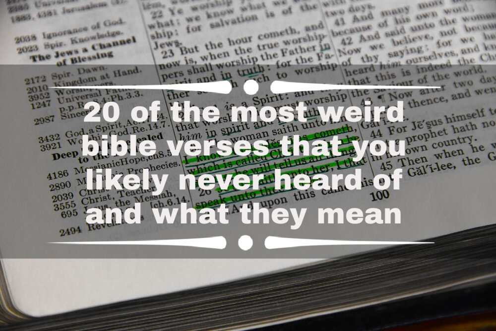 weird bible verses