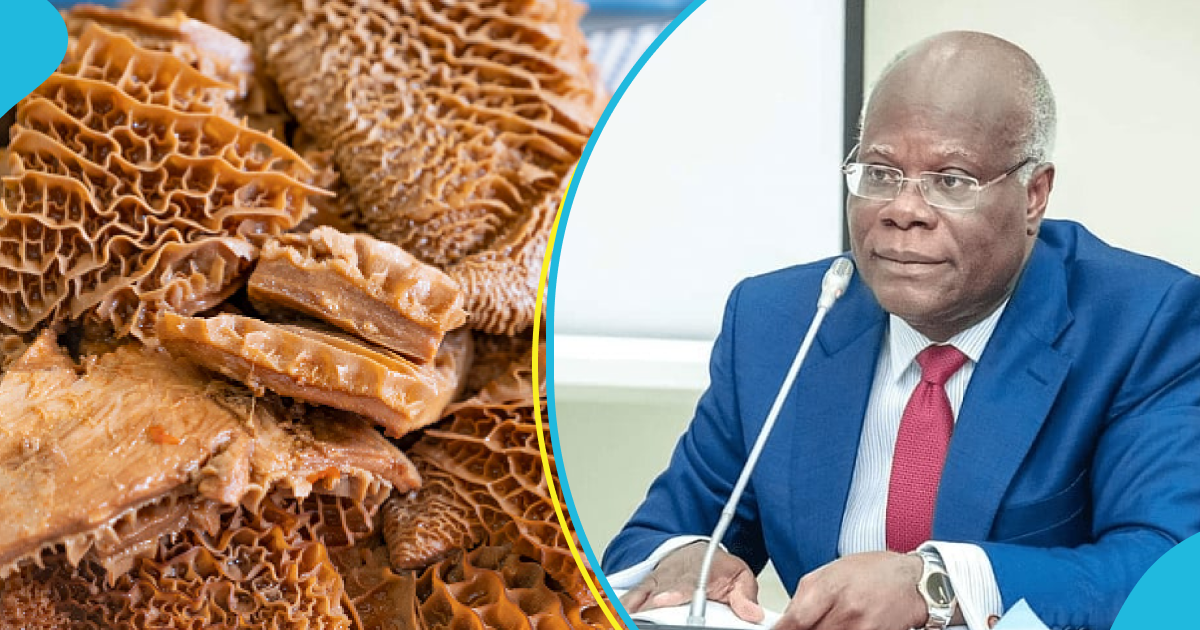 Government To Ban Importation Of Tripe, Rice, Poultry And 19 Other "Strategic Products" Soon