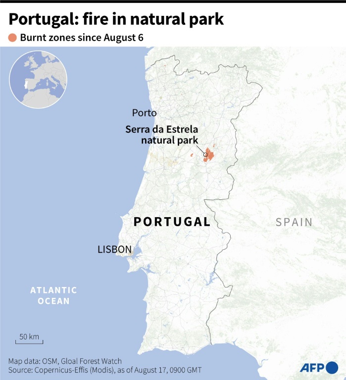 Portugal: fire in natural park