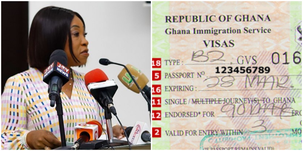 Shirley Ayorkor Botchway e-visa
