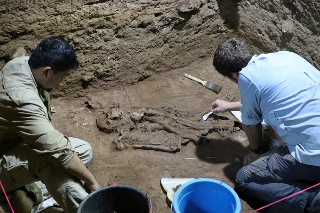 A skeleton discovered in a remote corner of Borneo rewrites the history of ancient medicine and proves amputation surgery was successfully carried out some 31,000 years ago, scientists say
