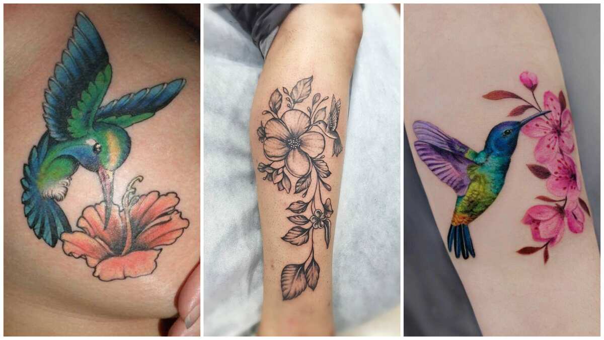 50 Stunning Hummingbird Tattoo Design Ideas and What They Mean  Saved  Tattoo  Hummingbird tattoo Tattoos Hummingbird flower tattoos