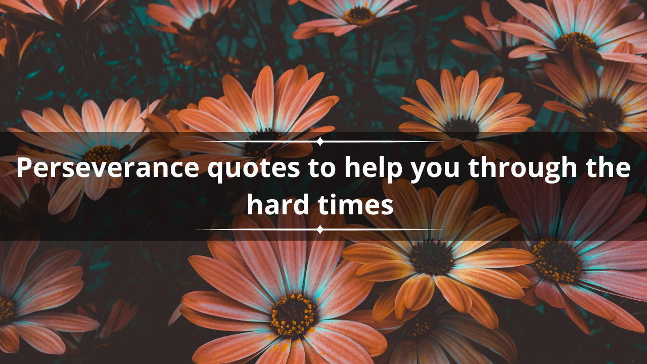 50+ perseverance quotes to help you through the hard times