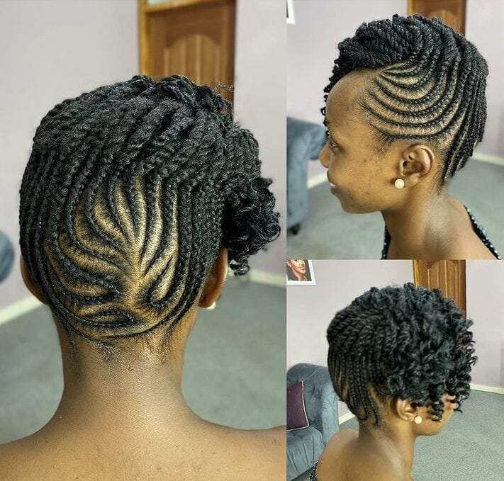 beautiful Afro twist braids hairstyles