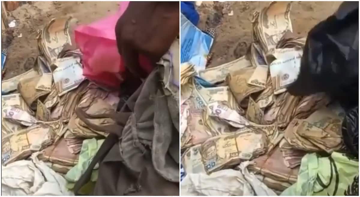Video shows beggar in possession of plenty cash in Lagos