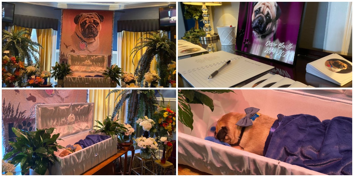 Man Organizes Posh Burial for His Dead Dog, Creates Condolence Register, Stunning Photos Cause Huge Stir
