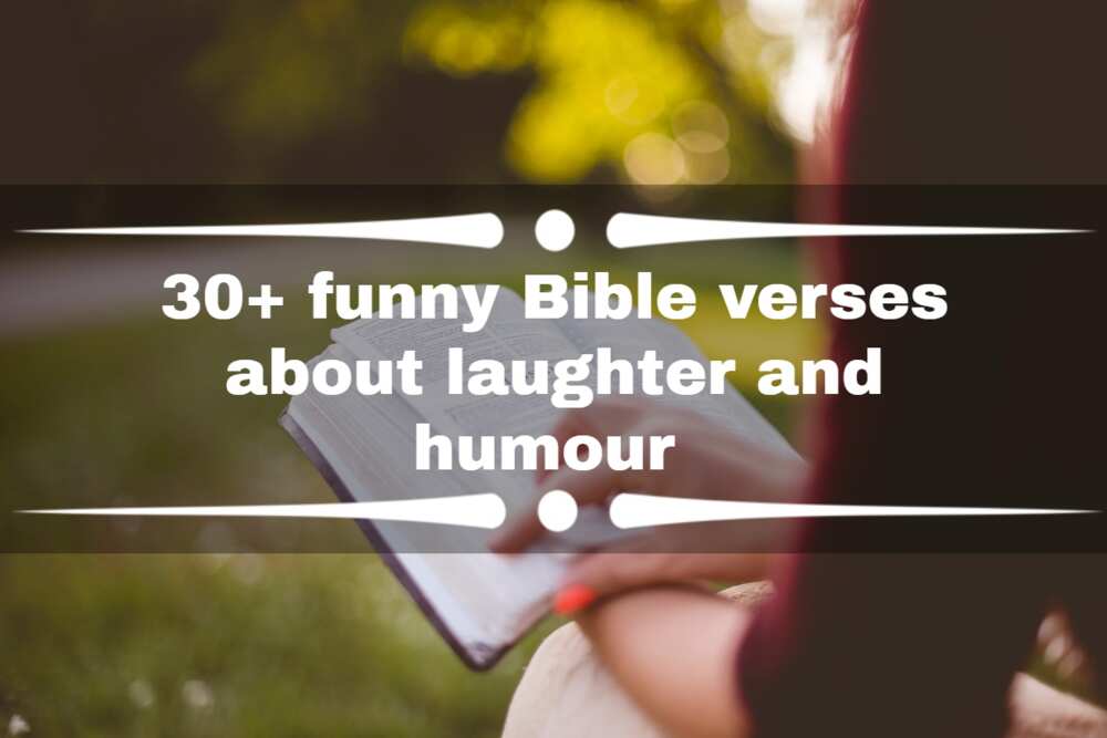 funny Bible verses