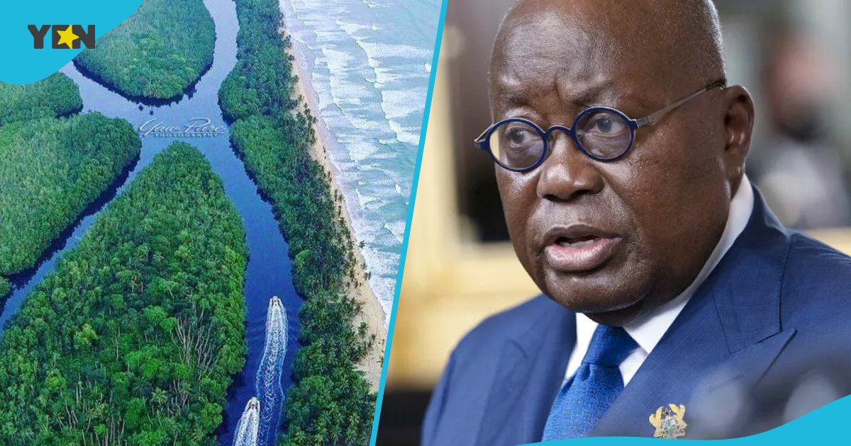 Pressure Builds On Akufo-Addo Government Over Amanzule Conservation Mining