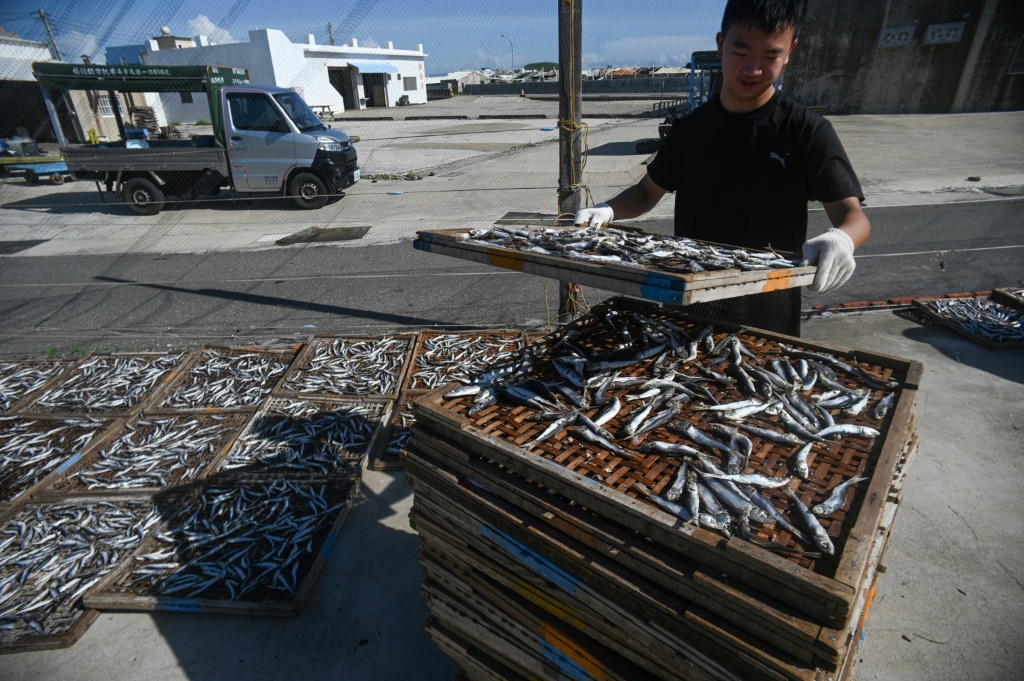 A worker dries fish in May 2022 in the Penghu islands of Taiwan, which has offered to work with the United States to combat illegal fishing, a problem frequently assigned to nearby China