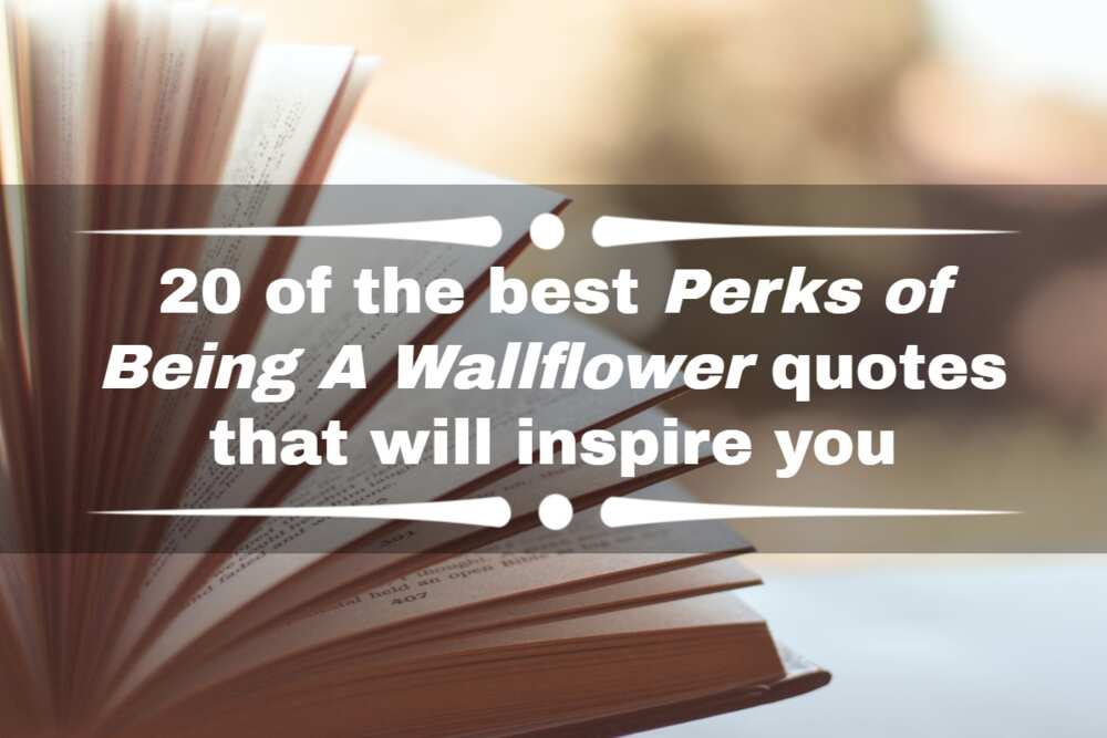 Top 10 Quotes From The Perks of Being a Wallflower Movie