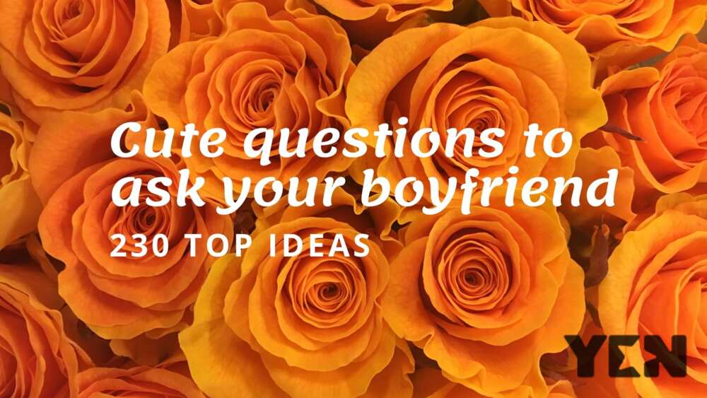 Cute questions to ask your boyfriend