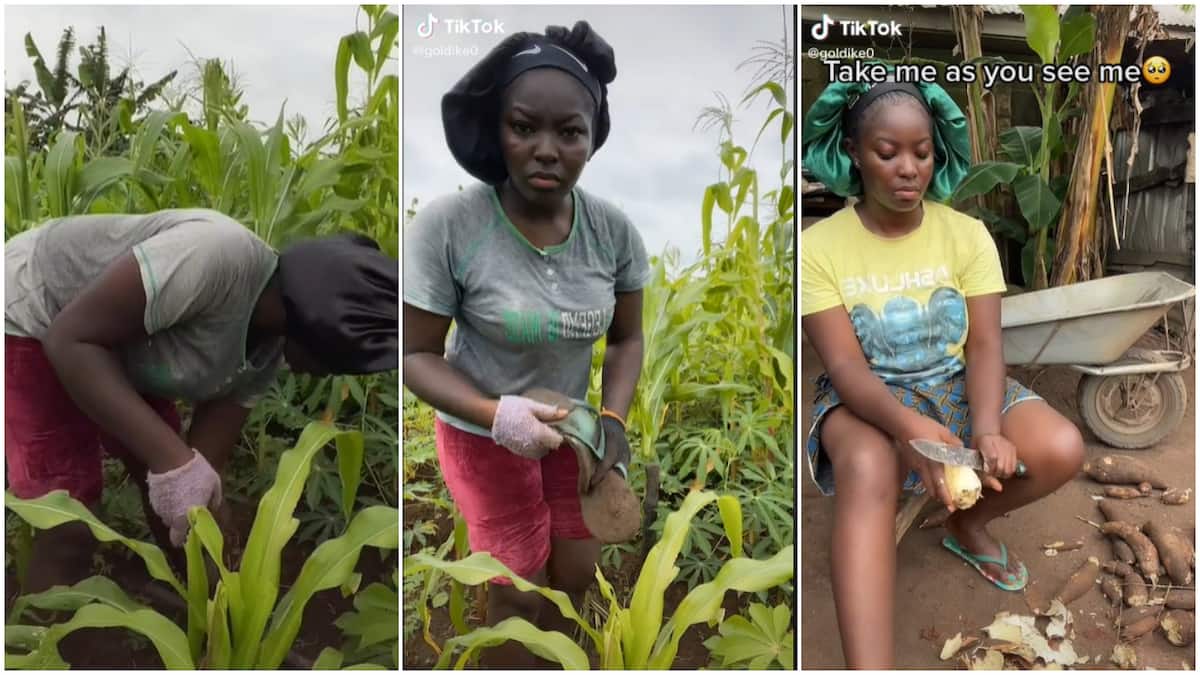 You’re a True African Woman: Reactions As Lady Shows Off Her Farming ...