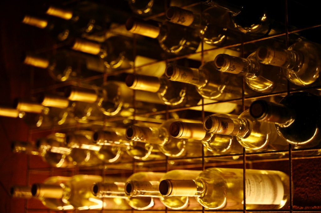 Brazilian wine grower Ronaldo Triacca now sells 15,000 bottles a year