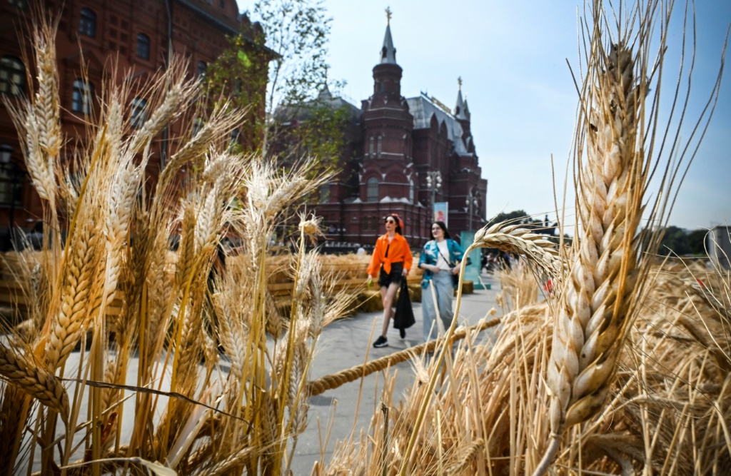 Pedestrians walk past wheat ears art installation on the edge of the Red Square in central Moscow on August 27, 2022