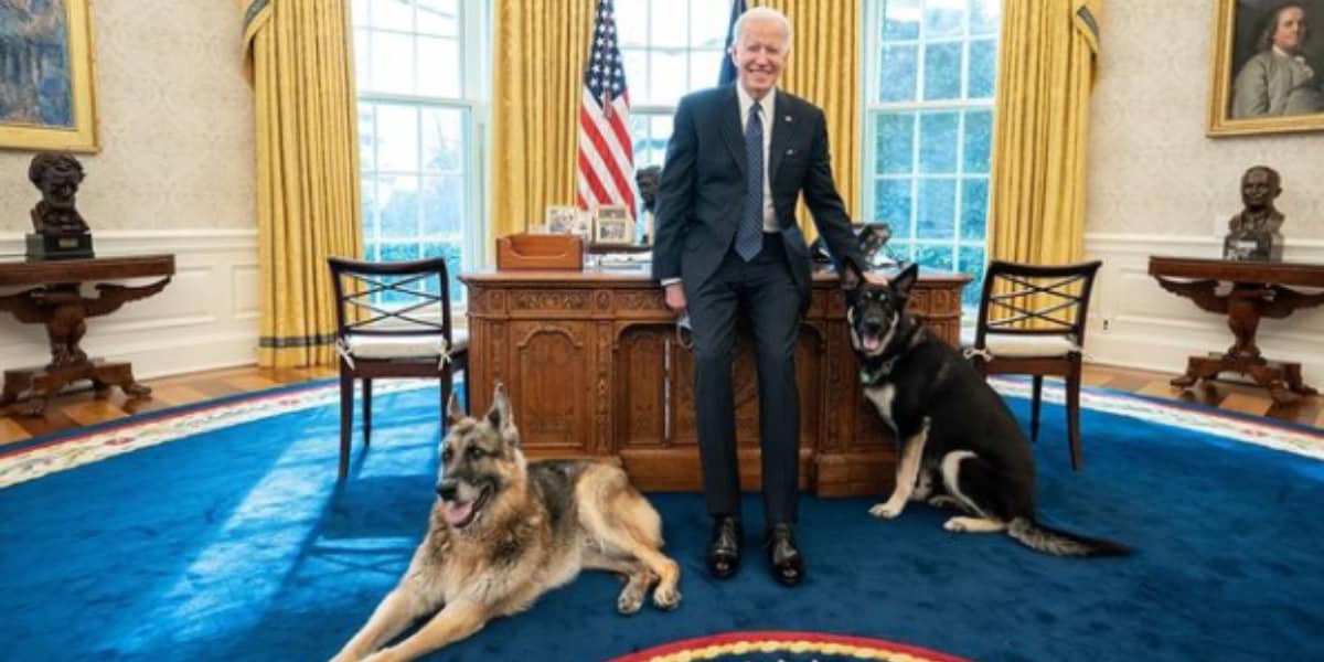 Not many people have Oval Office walk-in privileges. Happy to report that these two are on the list