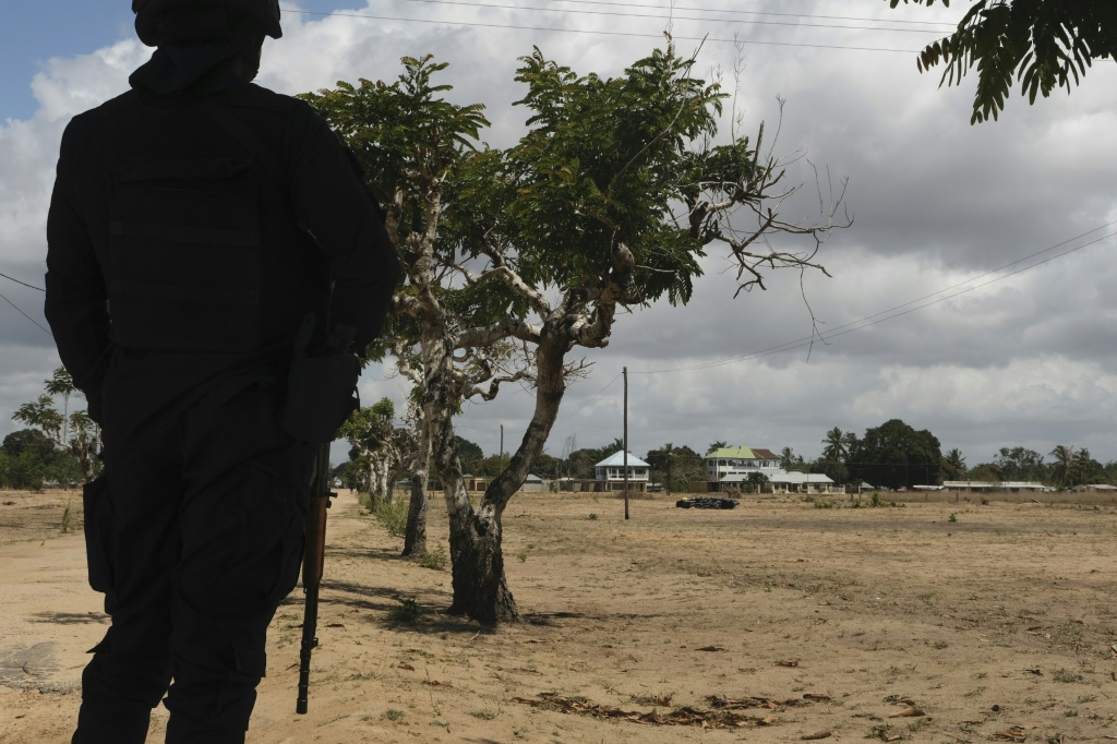 Jihadists affiliated to the Islamic State have raided towns and villages in northern Mozambique