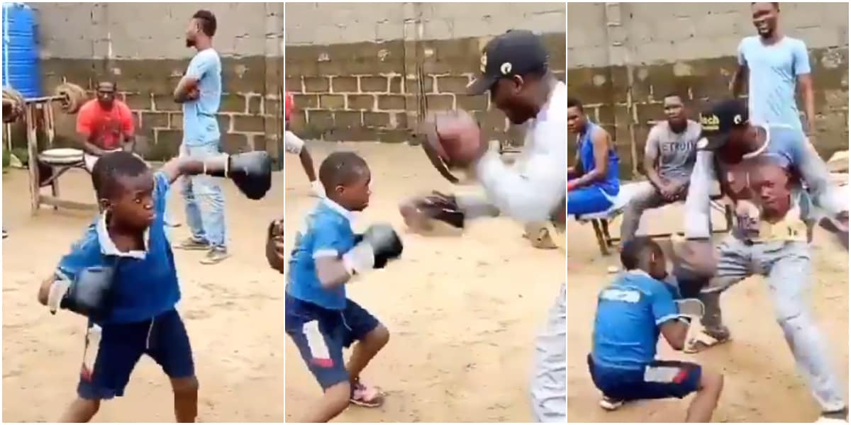 Young Nigerian boy warms heart with boxing skills