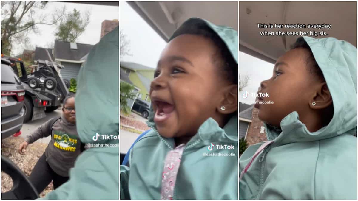 "Beautiful girls": Baby shows great joy at seeing her sister come down from school bus in cute video