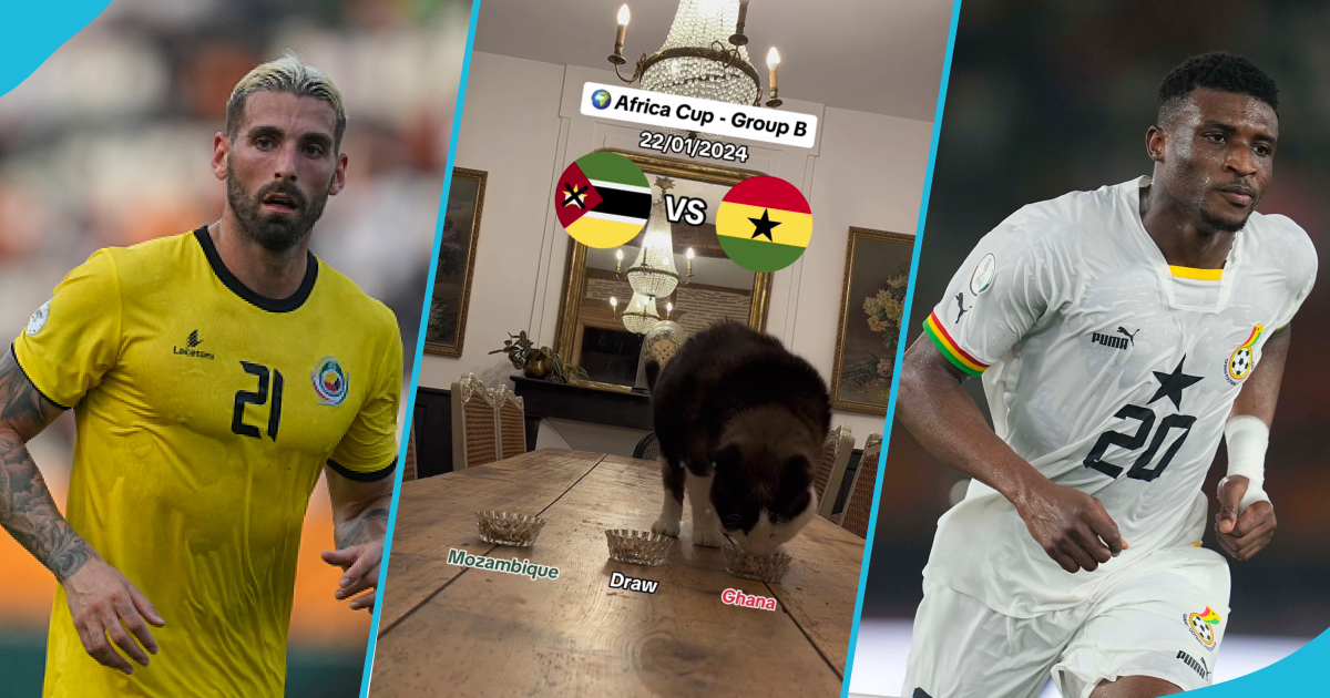 Famous cat predicts match between Ghana versus Mozambique